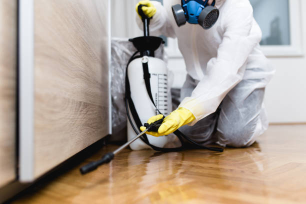 Best Pest Inspection Near Me  in Minot Af, ND