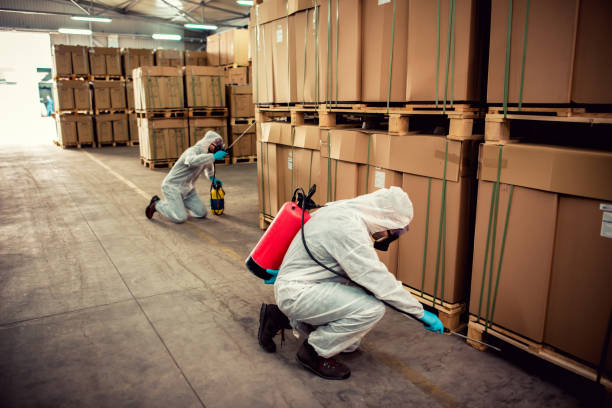 Best Pest Control Treatment  in Minot Af, ND