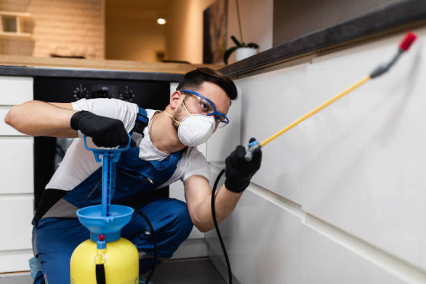 Best Best Pest Control Companies  in Minot Af, ND