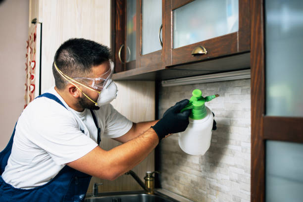 Best Best Pest Control Companies  in Minot Af, ND