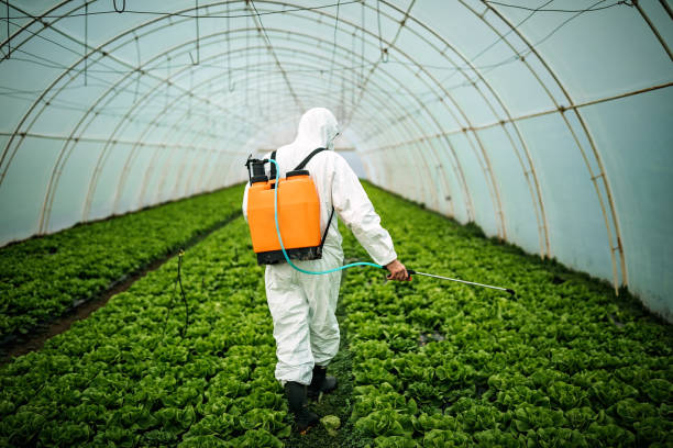 Best Pest Control Near Me  in Minot Af, ND