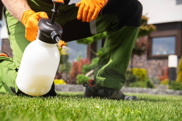 Best Wildlife Control Services  in Minot Af, ND