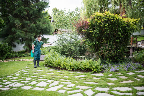 Best Pest Control for Homes  in Minot Af, ND