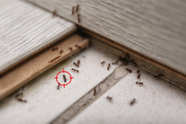 Minot Af, ND Pest Control Company