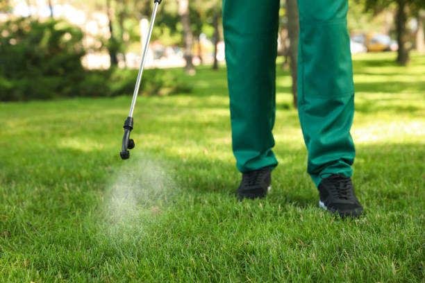 Best Affordable Pest Control Services  in Minot Af, ND