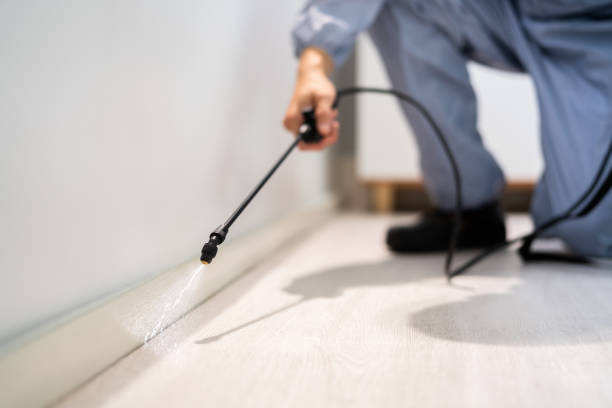 Best Termite Control Services  in Minot Af, ND