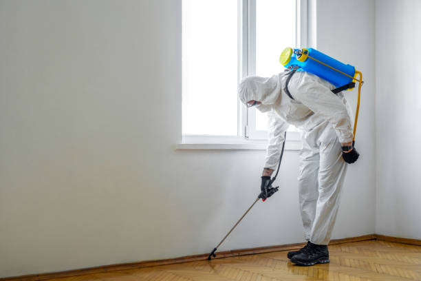 Best Pest Prevention Services  in Minot Af, ND
