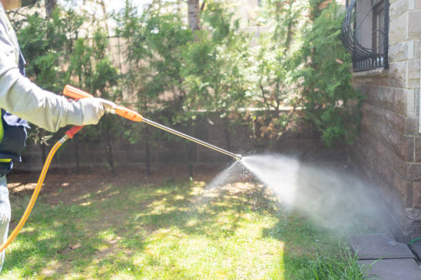 Best Spider Control Near Me  in Minot Af, ND