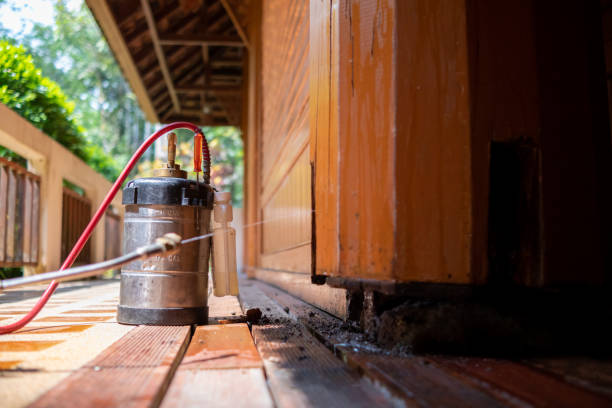 Best Wasp Removal Services  in Minot Af, ND
