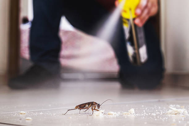 Best Pest Inspection Near Me  in Minot Af, ND