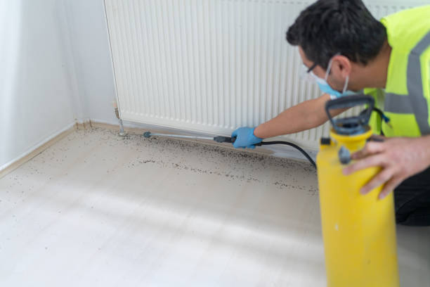 Best Affordable Pest Control Services  in Minot Af, ND