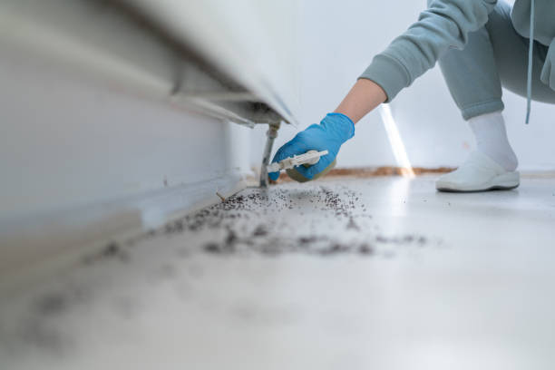 Best Pest Control Near Me  in Minot Af, ND